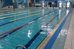 IMG-20221207-WA0009
