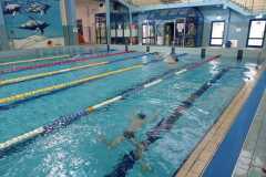 IMG-20221207-WA0014