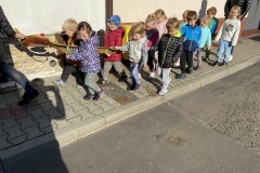 08.10.2021 Poszukiwanie kasztanów. Koordynator p. Ciesielska 