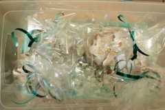 IMG-20211216-WA0001