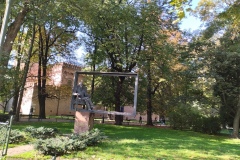 IMG_20221006_100641