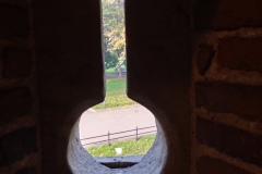 IMG_20221006_101455