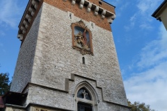 IMG_20221006_110452